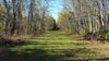 273 Spicer Rd photo